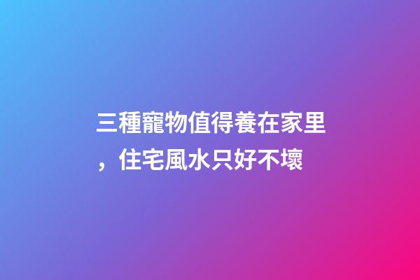 三種寵物值得養在家里，住宅風水只好不壞