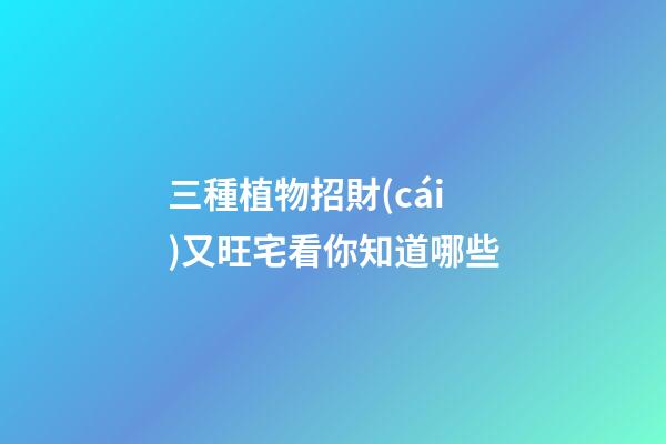 三種植物招財(cái)又旺宅看你知道哪些