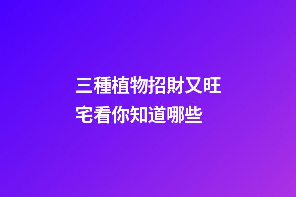 三種植物招財又旺宅看你知道哪些
