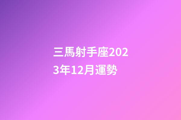 三馬射手座2023年12月運勢-第1張-星座運勢-玄機派