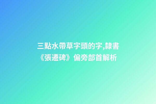 三點水帶草字頭的字,隸書《張遷碑》偏旁部首解析-第1張-觀點-玄機派