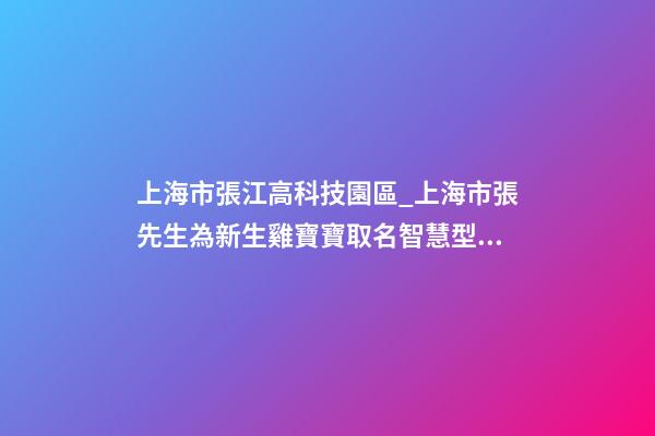 上海市張江高科技園區_上海市張先生為新生雞寶寶取名智慧型套餐-第1張-公司起名-玄機派