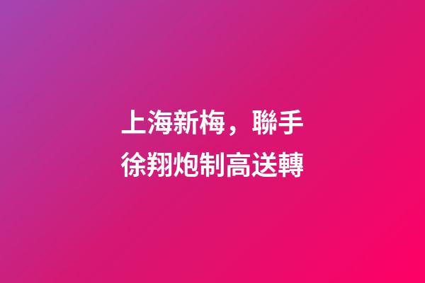 上海新梅，聯手徐翔炮制高送轉-第1張-觀點-玄機派