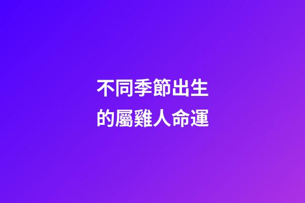 不同季節出生的屬雞人命運