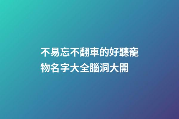 不易忘不翻車的好聽寵物名字大全腦洞大開