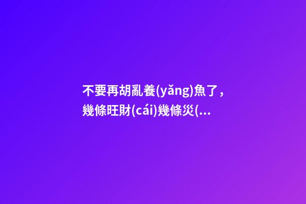 不要再胡亂養(yǎng)魚了，幾條旺財(cái)幾條災(zāi)？