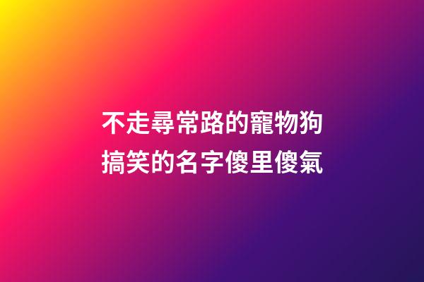 不走尋常路的寵物狗搞笑的名字傻里傻氣