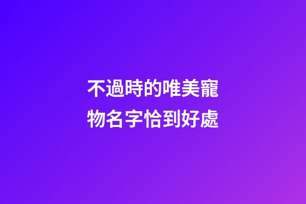 不過時的唯美寵物名字恰到好處
