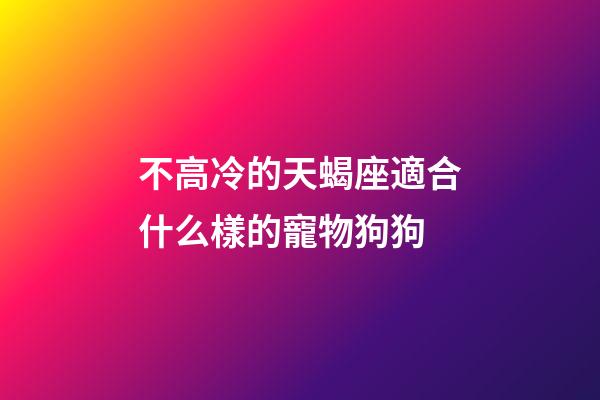 不高冷的天蝎座適合什么樣的寵物狗狗-第1張-星座運勢-玄機派