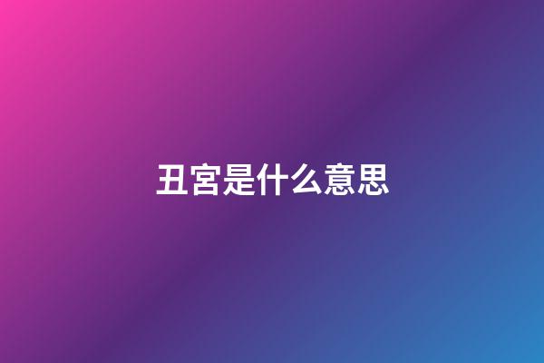 丑宮是什么意思