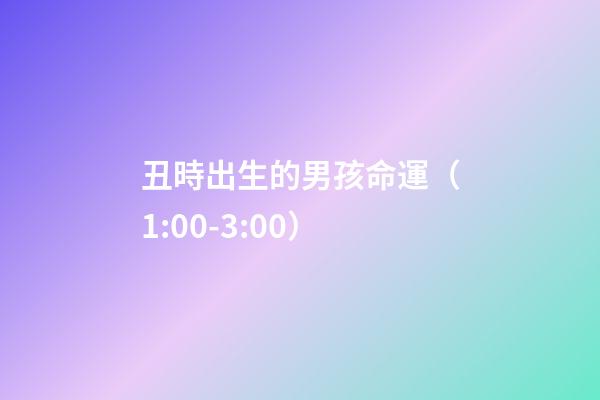 丑時出生的男孩命運（1:00-3:00）