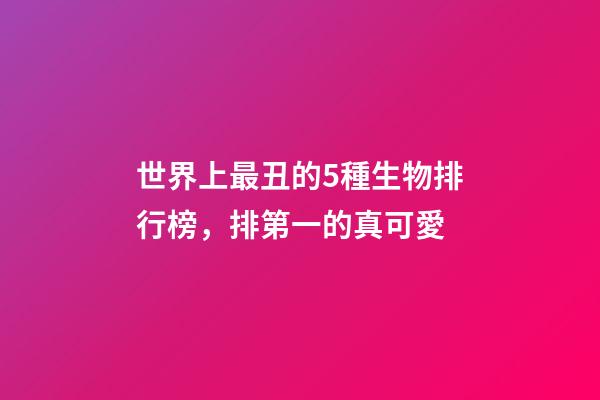 世界上最丑的5種生物排行榜，排第一的真可愛-第1張-觀點-玄機派