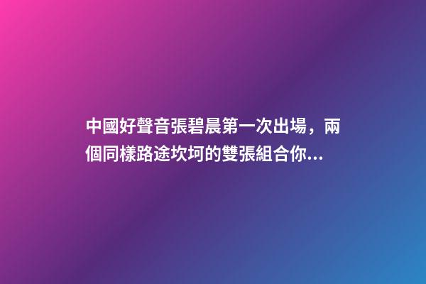 中國好聲音張碧晨第一次出場，兩個同樣路途坎坷的雙張組合(張韶涵、張碧晨)你喜歡哪個-第1張-觀點-玄機派