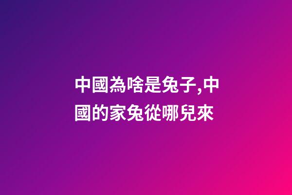 中國為啥是兔子,中國的家兔從哪兒來-第1張-觀點-玄機派