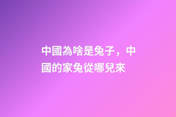 中國為啥是兔子，中國的家兔從哪兒來