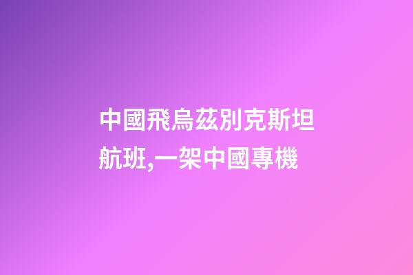 中國飛烏茲別克斯坦航班,一架中國專機-第1張-觀點-玄機派