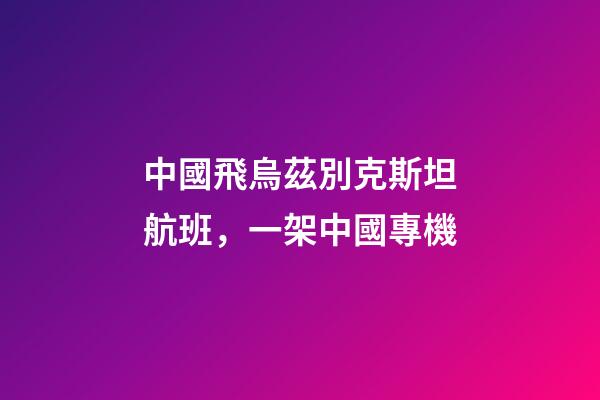 中國飛烏茲別克斯坦航班，一架中國專機-第1張-觀點-玄機派