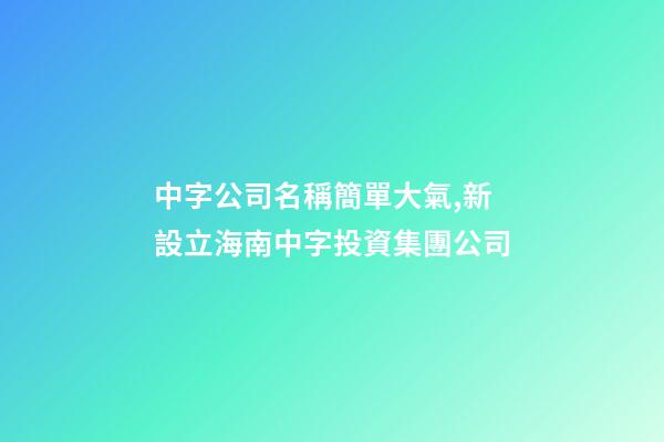 中字公司名稱簡單大氣,新設立海南中字投資集團公司-第1張-觀點-玄機派