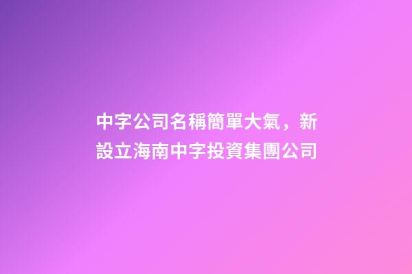 中字公司名稱簡單大氣，新設立海南中字投資集團公司-第1張-觀點-玄機派