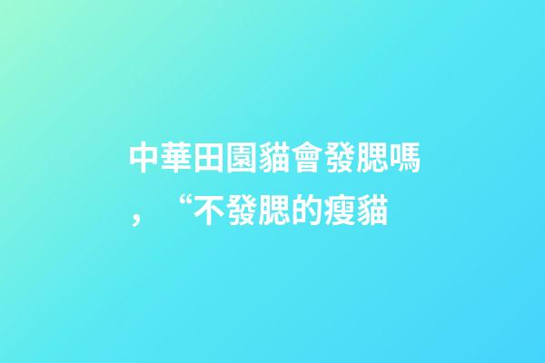 中華田園貓會發腮嗎，“不發腮的瘦貓