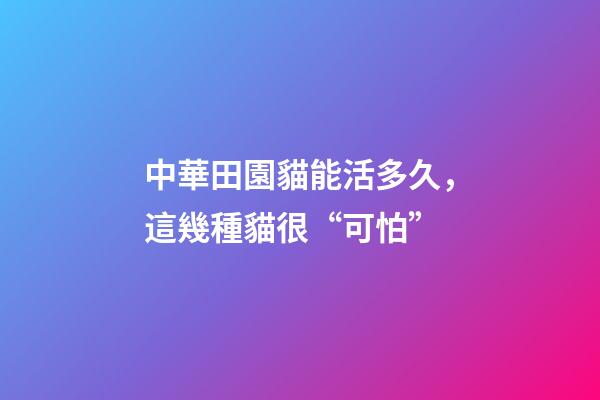 中華田園貓能活多久，這幾種貓很“可怕”-第1張-觀點-玄機派