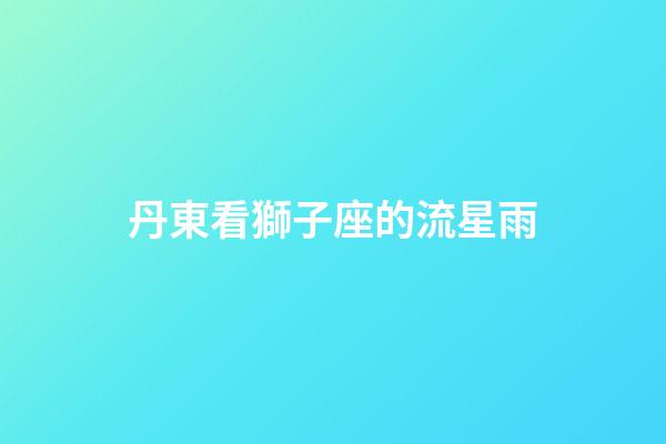 丹東看獅子座的流星雨-第1張-星座運勢-玄機派