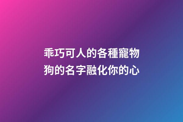 乖巧可人的各種寵物狗的名字融化你的心