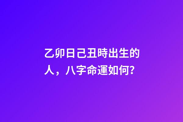 乙卯日己丑時出生的人，八字命運如何？