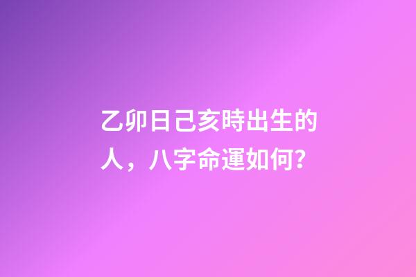 乙卯日己亥時出生的人，八字命運如何？
