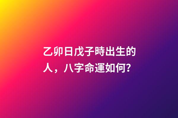 乙卯日戊子時出生的人，八字命運如何？