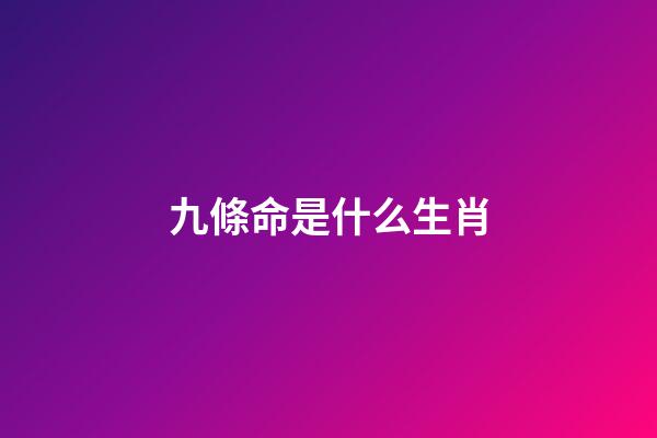九條命是什么生肖(中國人的年夜飯怎么吃才講究？福貓金鼠齊上桌，新年全家更多福)-第1張-觀點-玄機派