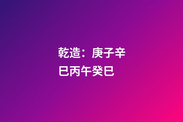 乾造：庚子辛巳丙午癸巳