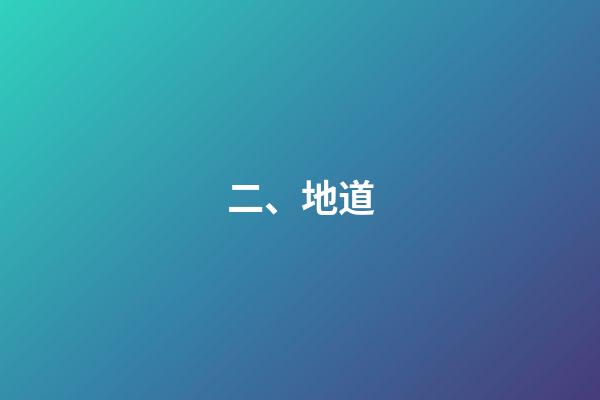 二、地道