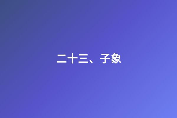 二十三、子象