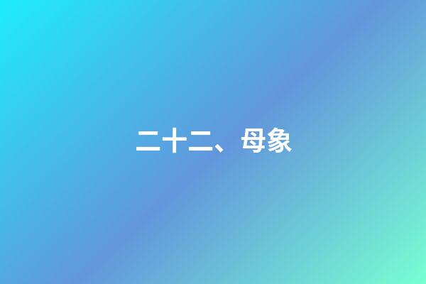 二十二、母象