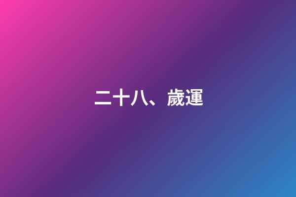 二十八、歲運