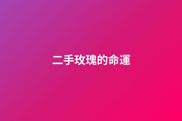 二手玫瑰的命運(人生要迎風破浪，直面困難)-第1張-觀點-玄機派
