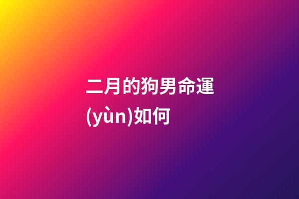 二月的狗男命運(yùn)如何(算命先生：生于這三個(gè)月的大金狗，注定先苦后甜，可準(zhǔn)了!)-第1張-觀點(diǎn)-玄機(jī)派