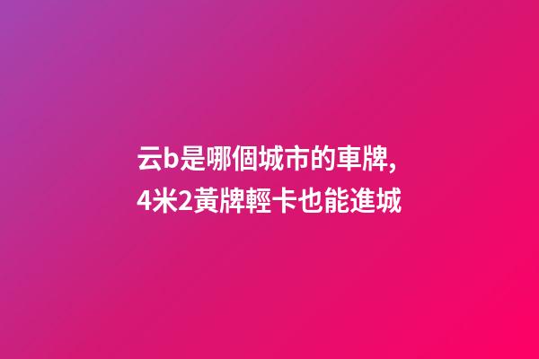 云b是哪個城市的車牌,4米2黃牌輕卡也能進城-第1張-觀點-玄機派