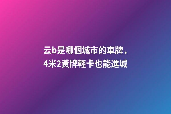 云b是哪個城市的車牌，4米2黃牌輕卡也能進城-第1張-觀點-玄機派