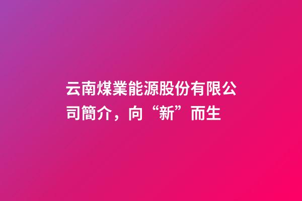 云南煤業能源股份有限公司簡介，向“新”而生-第1張-觀點-玄機派