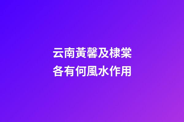云南黃馨及棣棠各有何風水作用?