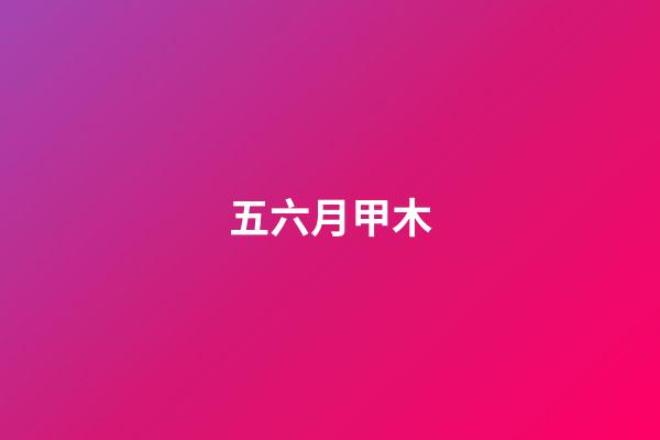 五六月甲木