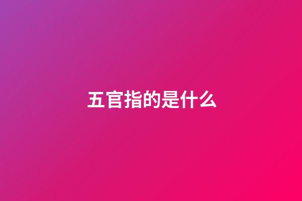 五官指的是什么