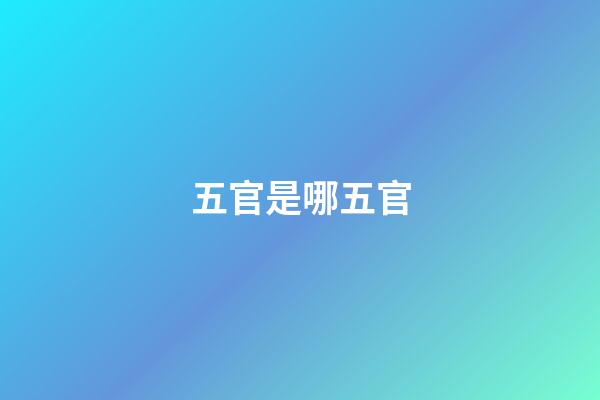五官是哪五官