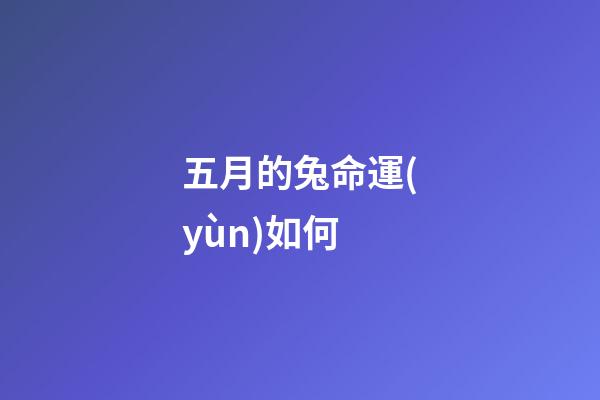 五月的兔命運(yùn)如何(2022年五月份：獅子座整體運(yùn)勢(shì)詳細(xì)解析，好事發(fā)生以及注意事項(xiàng))-第1張-觀點(diǎn)-玄機(jī)派