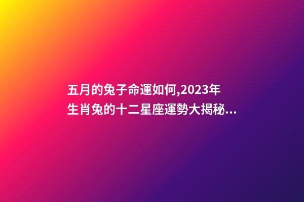 五月的兔子命運如何,2023年生肖兔的十二星座運勢大揭秘!看看你的運勢如何-第1張-觀點-玄機派
