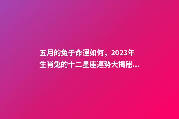 五月的兔子命運如何，2023年生肖兔的十二星座運勢大揭秘!看看你的運勢如何-第1張-觀點-玄機派