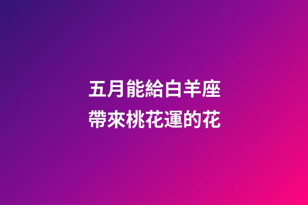 五月能給白羊座帶來桃花運的花-第1張-星座運勢-玄機派