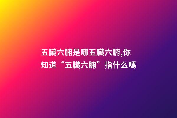 五臟六腑是哪五臟六腑,你知道“五臟六腑”指什么嗎-第1張-觀點-玄機派